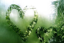 摩纳哥主场迎战南特全取三分