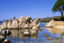 摩纳哥主场迎战南特全取三分