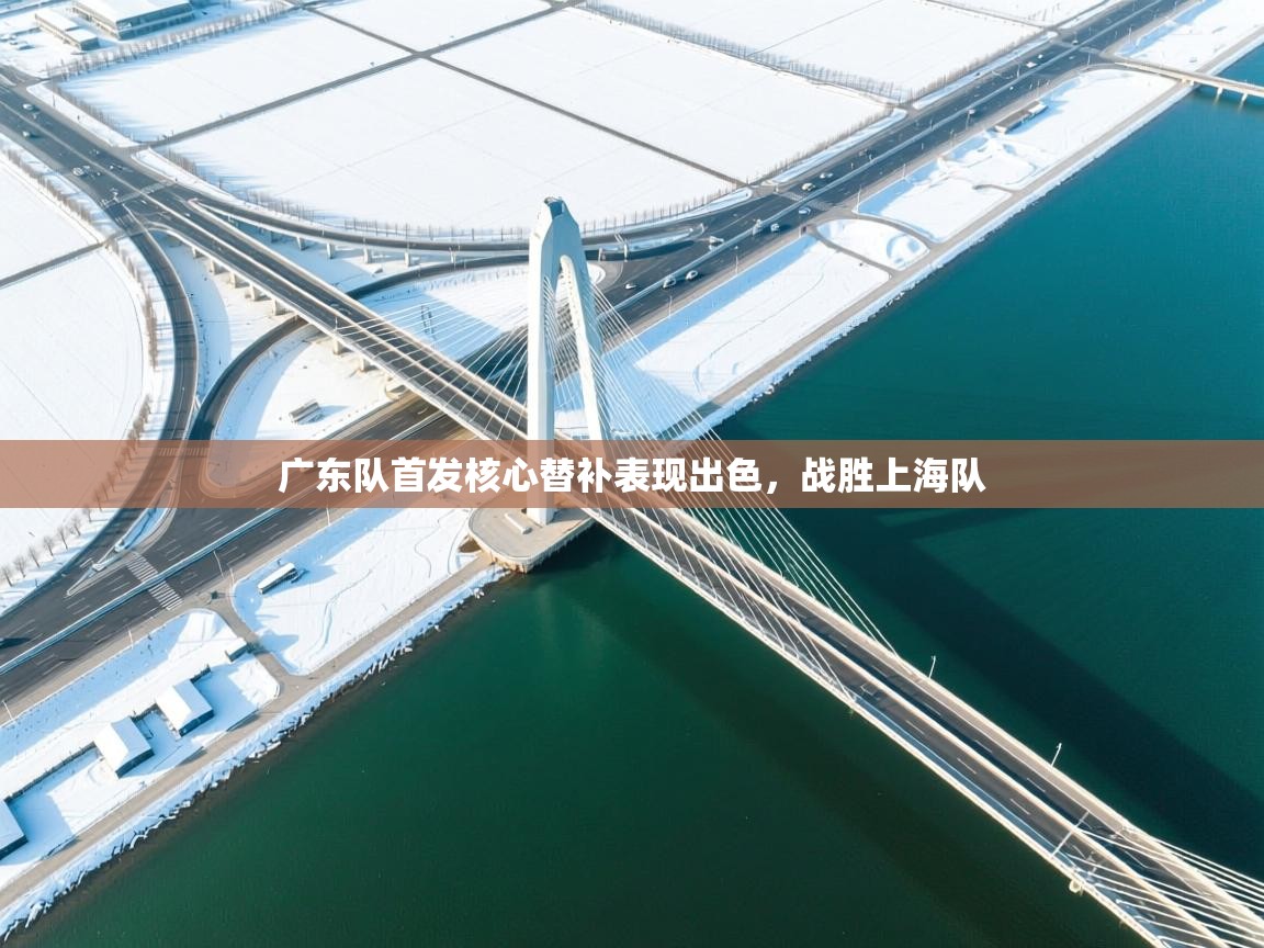 广东队首发核心替补表现出色，战胜上海队  第1张