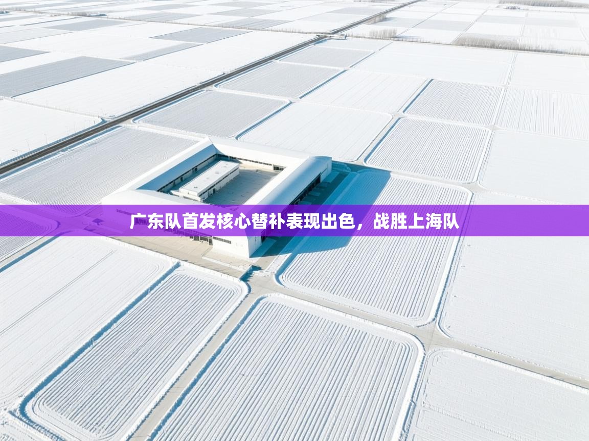 广东队首发核心替补表现出色，战胜上海队  第2张